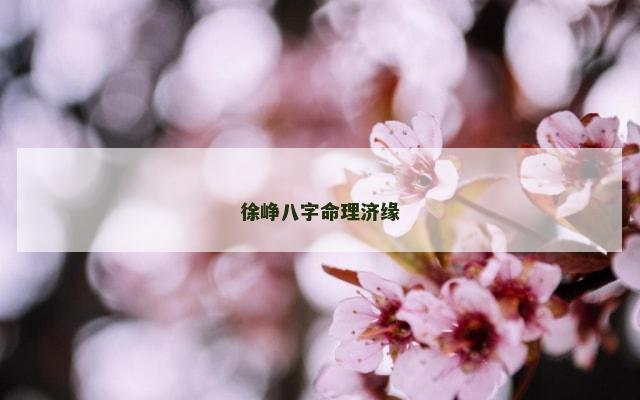 徐峥八字命理济缘