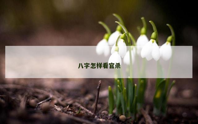 八字怎样看官杀