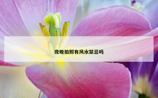 夜晚拍照有风水禁忌吗