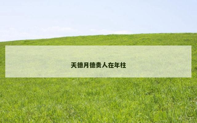 天德月德贵人在年柱