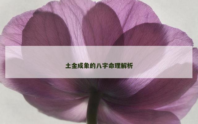 土金成象的八字命理解析