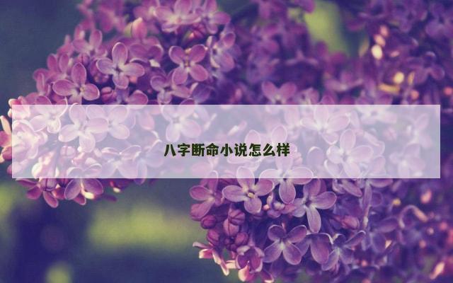 八字断命小说怎么样