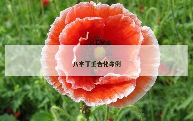 八字丁壬合化命例