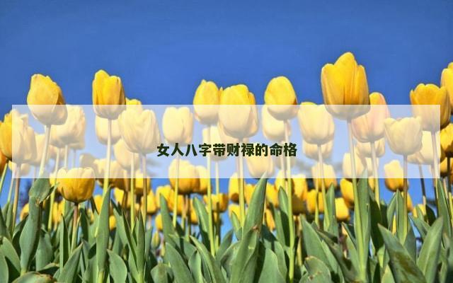 女人八字带财禄的命格