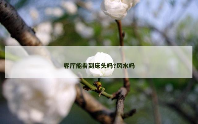 客厅能看到床头吗?风水吗