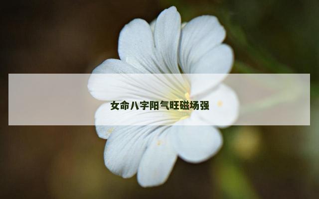 女命八字阳气旺磁场强