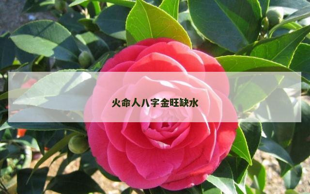 火命人八字金旺缺水