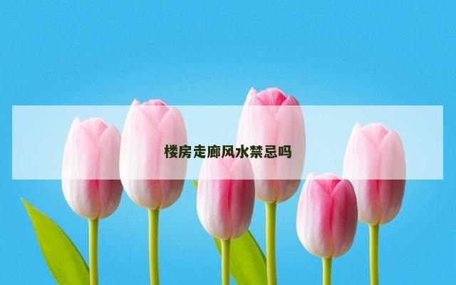 楼房走廊风水禁忌吗