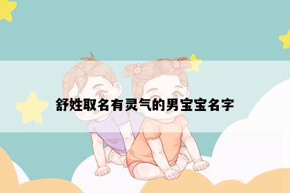 舒姓取名有灵气的男宝宝名字