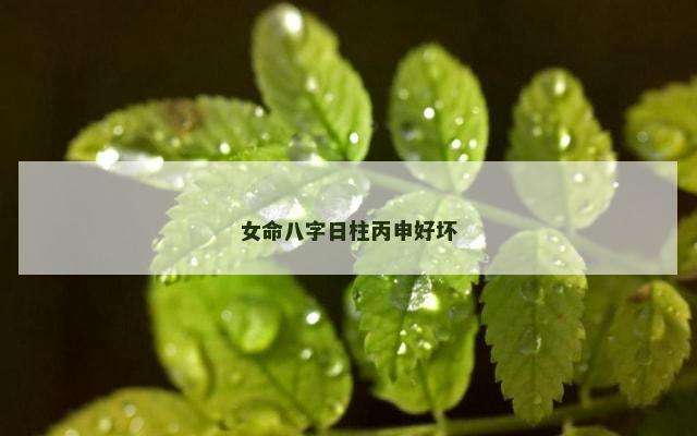 女命八字日柱丙申好坏