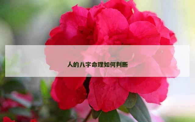 人的八字命理如何判断