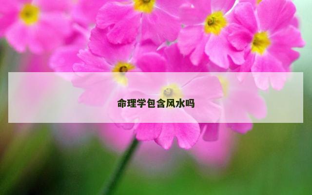 命理学包含风水吗