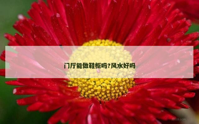 门厅能做鞋柜吗?风水好吗
