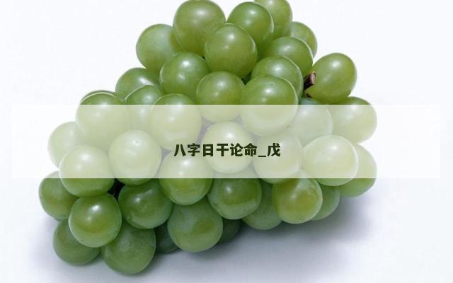 八字日干论命_戊