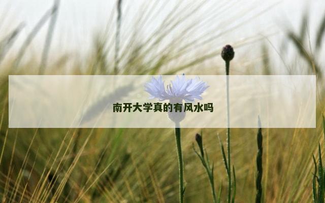 南开大学真的有风水吗