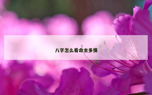 八字怎么看命主多情