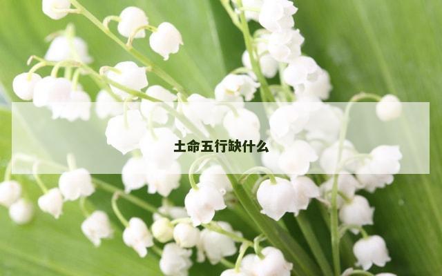 土命五行缺什么