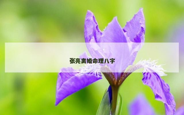 张亮离婚命理八字