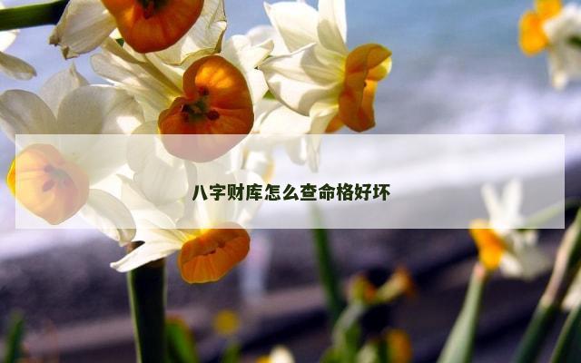 八字财库怎么查命格好坏