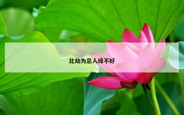 比劫为忌人缘不好
