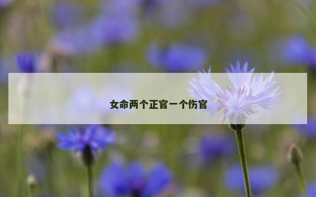 女命两个正官一个伤官