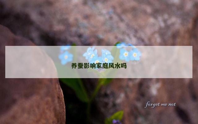 养蚕影响家庭风水吗