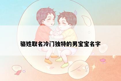 骆姓取名冷门独特的男宝宝名字