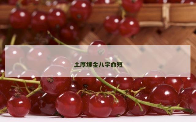 土厚埋金八字命短
