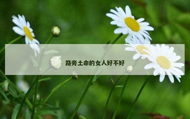 路旁土命的女人好不好