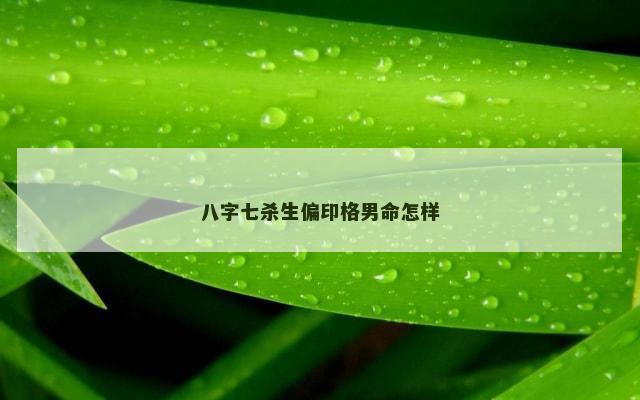 八字七杀生偏印格男命怎样