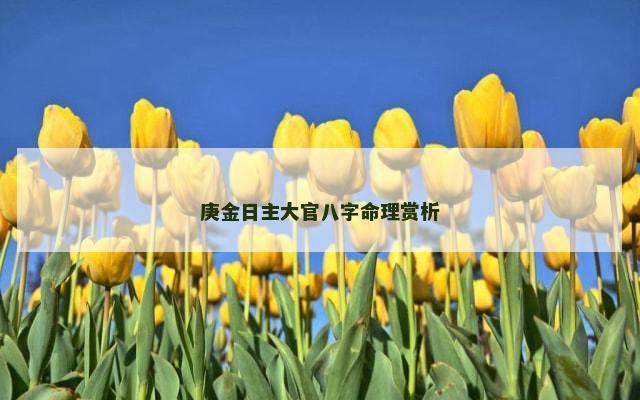 庚金日主大官八字命理赏析