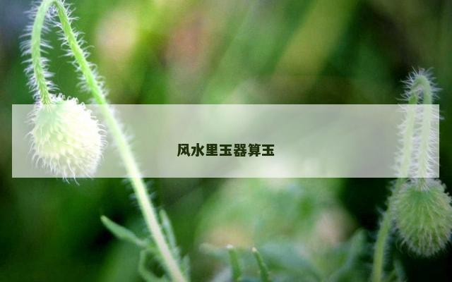 风水里玉器算玉