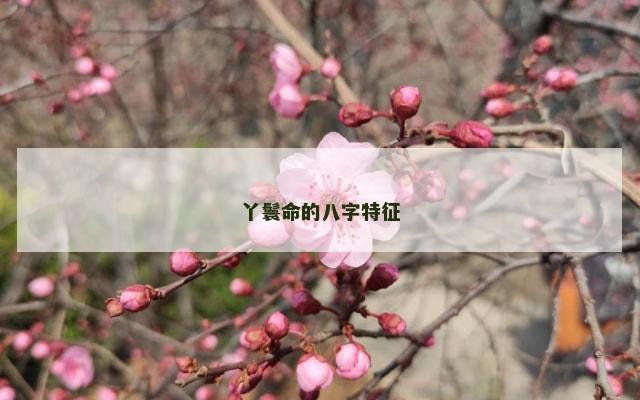 丫鬟命的八字特征