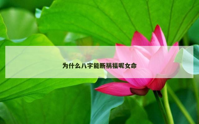 为什么八字能断祸福呢女命