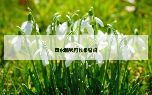 风水骗钱可以报警吗