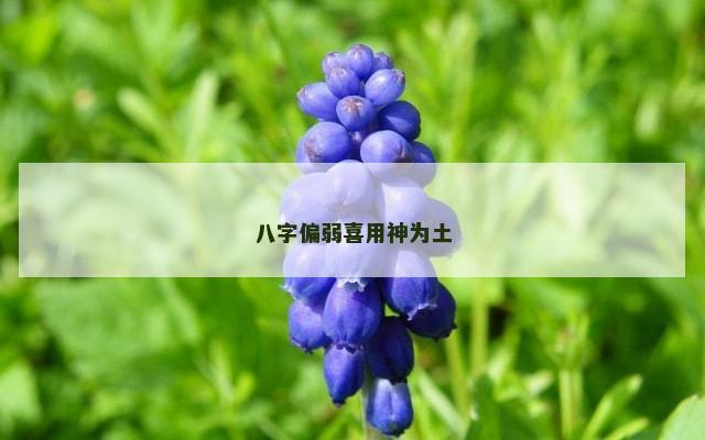 八字偏弱喜用神为土