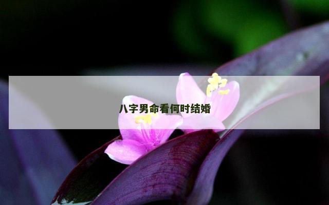 八字男命看何时结婚