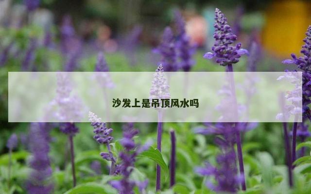 沙发上是吊顶风水吗