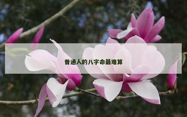 普通人的八字命最难算