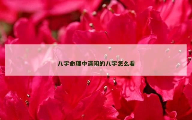 八字命理中清闲的八字怎么看