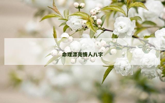 命理漂亮情人八字
