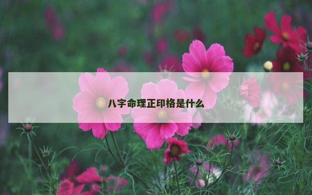 八字命理正印格是什么