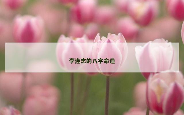 李连杰的八字命造
