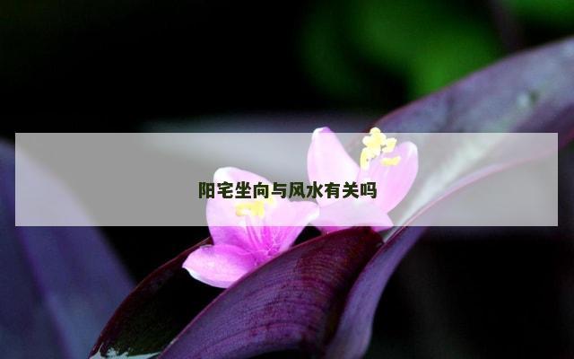 阳宅坐向与风水有关吗