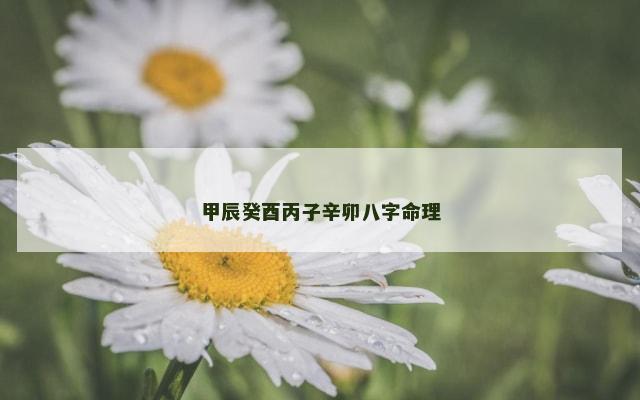 甲辰癸酉丙子辛卯八字命理