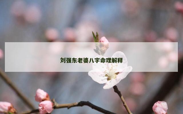 刘强东老婆八字命理解释