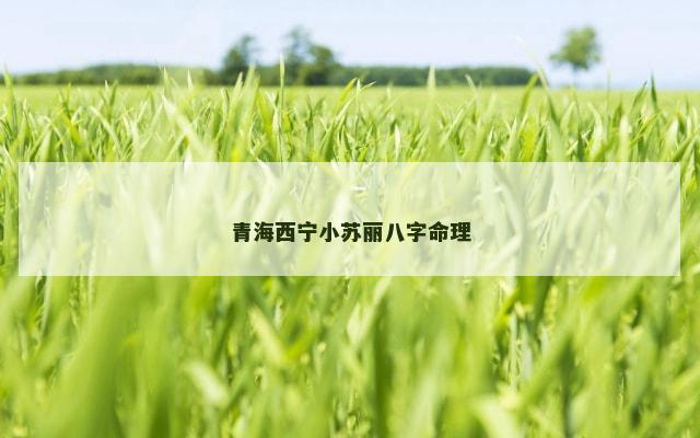 青海西宁小苏丽八字命理