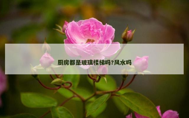 厨房都是玻璃楼梯吗?风水吗
