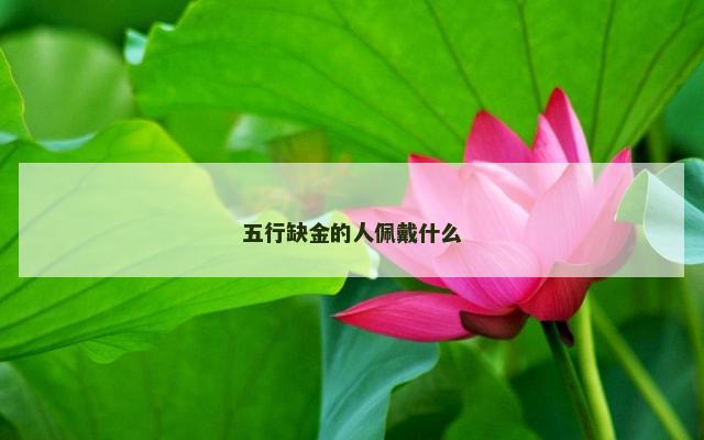 五行缺金的人佩戴什么