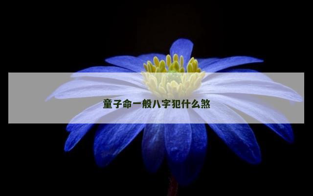 童子命一般八字犯什么煞